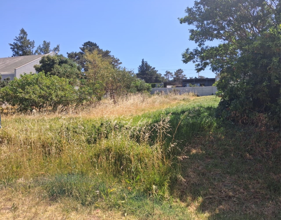 0 Bedroom Property for Sale in Bot River Avenues Western Cape